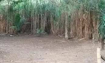 Imagem 6: Sítio à venda, ZONA RURAL - Ponte Nova/MG