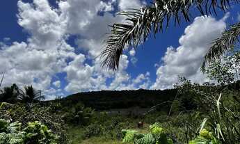 Imagem 4: Chácara em Vale Verde