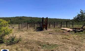 Imagem 4: Fazenda à Venda em Santa Rita do Araguaia - GO
