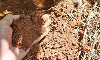 Imagem 6: Sítio 34 hectares em Perolândia-GO