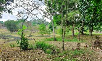 Imagem 7: Chácara com terreno 100x100