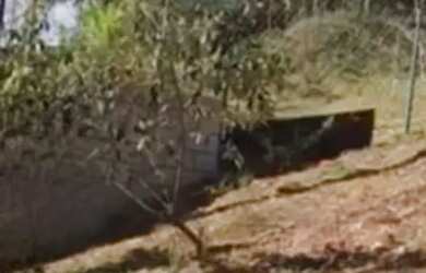 Imagem 7: TERRENO - CHÁCARAS SILVANIA - SP