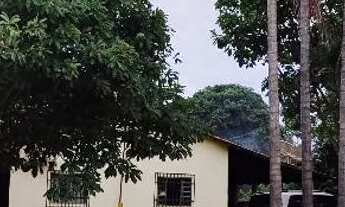 Imagem 5: Chácara em Bela vista