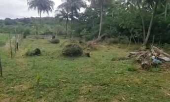 Imagem 2: Vendo Terreno de procedência