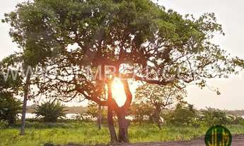 Imagem 7: TERRENO PARA VENDA NO LOTEAMENTO LAGO MONTENEGRO - FORTALEZA - CE