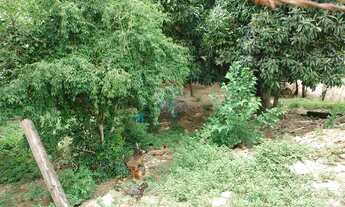 Imagem 6: Terreno (7) a venda em Brigadeiro Tobias