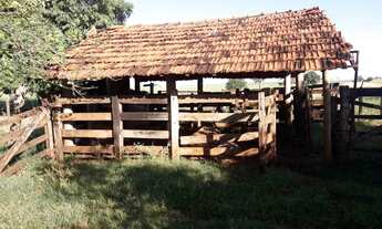 Imagem 5: Vendo Sitio em Castilho/Sp - 5 alqueires