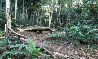 Imagem 4: Lote em Paraty a 05 km do Centro Histórico com RGI- 650 m2