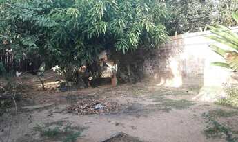 Imagem 6: Aluga-se casa em Capanema