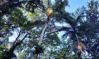 Imagem 7: Flat com 1 dormitório para alugar, 28 m² por R$ 2.000/mês - Maresias - São Sebastião/SP