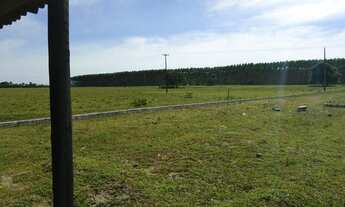 Imagem 5: Sítio à venda, 1250 m² por R$ 39.999,99 - Canta Galo - Alcobaça/BA