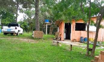 Imagem 2: Vende-se uma chácara