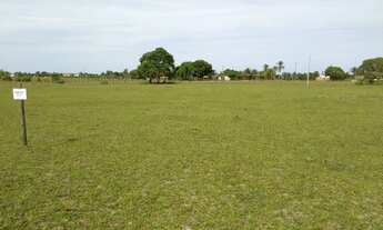 Imagem 2: Sítio à venda, 1250 m² por R$ 39.999,99 - Canta Galo - Alcobaça/BA