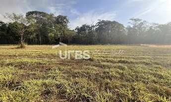 Imagem 4: Plateau D'or - Terreno