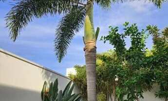 Imagem 4: LINDA CASA A VENDA/ ALUGUEL EM CONDOMINIO MONTE VERDE EM MONTE MOR SP