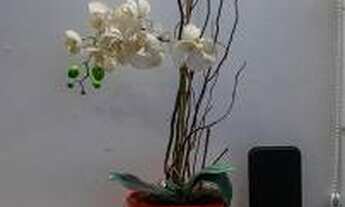 Imagem 3: Apartamento para venda com 2 quartos em Botafogo - Rio de Janeiro - RJ