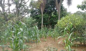 Imagem 6: Fazenda/Sítio/Chácara para venda com 3600 metros quadrados com 3 quartos