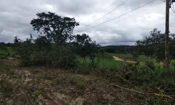 Imagem 4: Área de 2.500 metros documentada em Esmeraldas