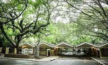 Imagem 4: Jazigos Cemitério do Morumby