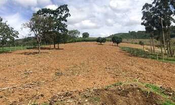 Imagem 3: Vende-se sítio Chácara com venda por R$800.000