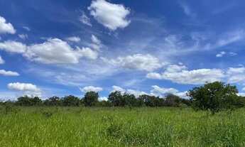 Imagem: Chácara 20.000m², toda área terra de