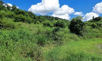 Imagem 3: FAZENDA A VENDA JOANESIA