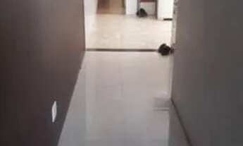 Imagem 2: Casa a venda em Ribeira