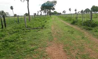 Imagem 6: Fazenda excelente para Exposiçao Entre Jangada e Varzea Grande