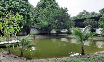 Imagem 2: Vendo sítio das Tilapias em Citrolândia/ Guapimirim. C/ 2 tanques de Tilapias