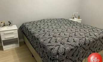 Imagem 3: São Paulo - Casa Padrão - Tatuapé