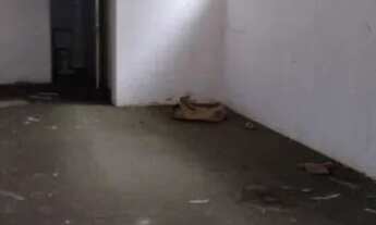 Imagem 7: São Paulo - Casa Comercial - Tatuapé