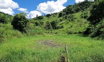 Imagem: FAZENDA A VENDA JOANESIA