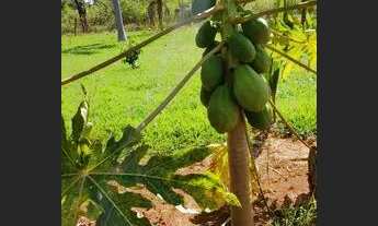 Imagem 6: Vendo chacara na Vargem Bonita, Senador Canedo