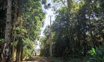 Imagem 7: Chácara com 1 dormitório à venda, 52000 m² por R$ 2.000.000,00 - Cachoeira - São José dos