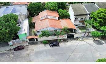 Imagem 2: O Refúgio do Pé de Açaí