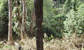 Imagem 2: Chácara Morro da Palha - 12.391 m² - Campo Magro/PR - R$ 200.000 (ACEITA CARRO