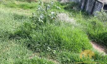 Imagem 3: Terreno de 250m² escriturado à venda em Terra Preta