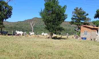 Imagem 7: OPORTUNIDADE-Fazenda a 65 km de Palmas 116 alqueires!