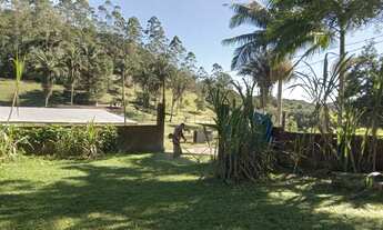 Imagem 2: 6 mil mts com poço casa e pomar topografia plaina