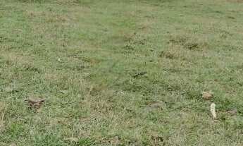 Imagem 5: Terreno 1.000m² Itatiba - SP - 700m Rod. Dom Pedro