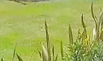 Imagem 2: Casa triplex em AREMPEBE