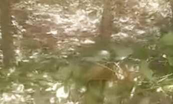 Imagem 5: Vendo Terreno,troco em carro ou moto