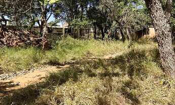 Imagem 4: Lote! Capoeira do bálsamo! Água de coco! Lago norte!