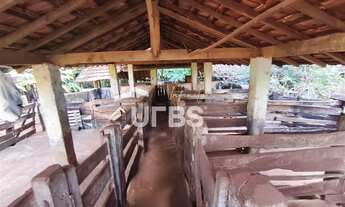 Imagem 4: Araguari/MG: Fazenda com Potencial Triplo - Mineração, Agropecuária e Plantio! Descubra um