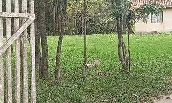 Imagem 2: Área de 22.000m2 á venda na Ilha de Guaratiba - Rio de Janeiro - RJ