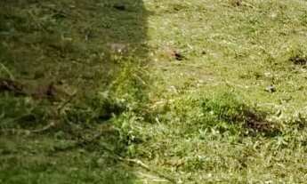 Imagem: Terreno Itaporanga ( camaçari mirin