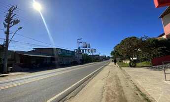 Imagem 6: Lote com 6.100 M² na beira da pista em Santa Mônica a venda em Guarapari/ES