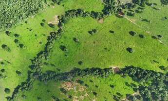 Imagem 4: Fazenda 5 alqueires com 2 águas e pasto formado - 13 km de Formoso-GO - Escuto propostas