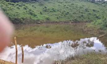 Imagem 6: Imóvel para venda com 6000 metros quadrados em Centro - Taperoá - BA