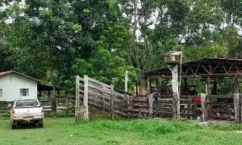 Imagem: Vende-se Fazenda 35 Alqueires em Barrolândia